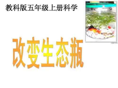1.7改变生态瓶