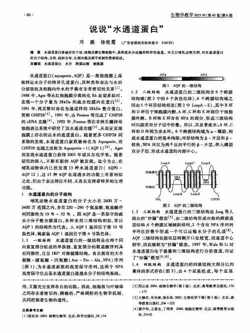 说说“水通道蛋白”