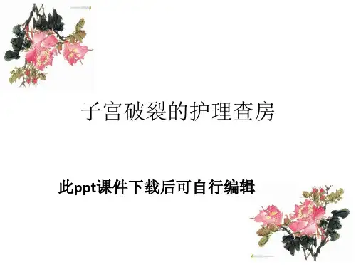 子宫破裂护理查房_ppt课件