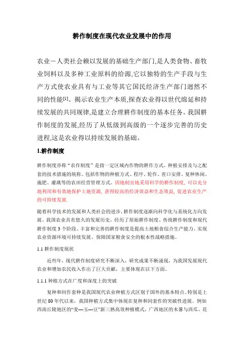 耕作制度在现代农业发展中的作用