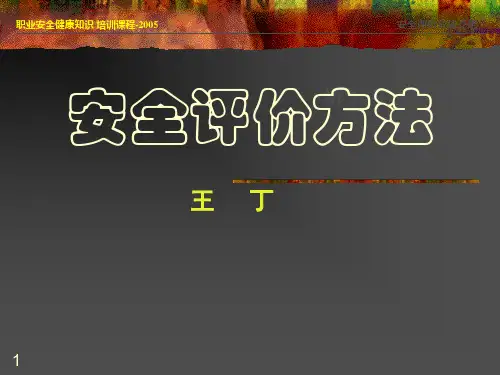 安全评价方法
