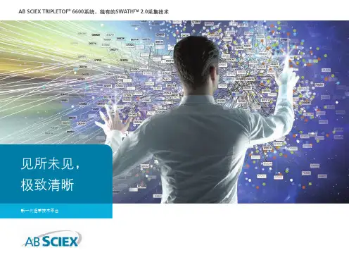 6600中文样本