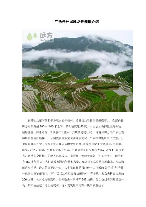 广西桂林龙胜龙脊梯田介绍