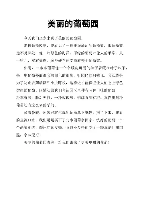 美丽的葡萄园