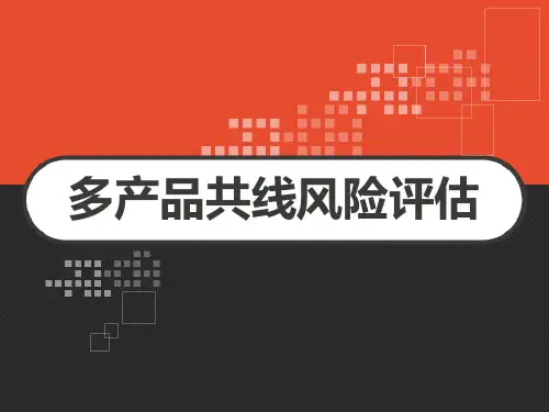 多产品共线风险评估 PPT