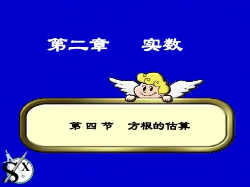 北师大八年级数学2.4.1估算