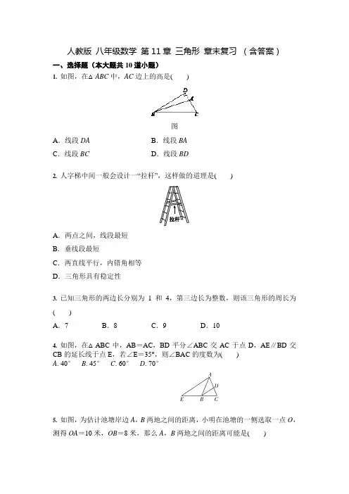 人教版 八年级数学 第11章 三角形 章末复习 (含答案)