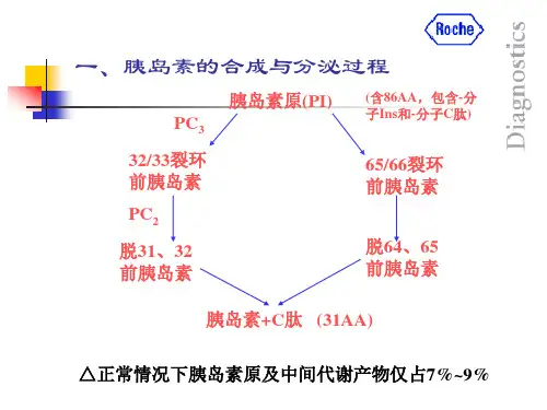 胰岛细胞功能评估