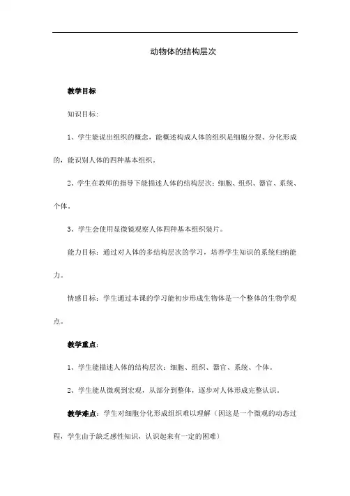 人教版七年级上册生物《动物体的结构层次》教案设计