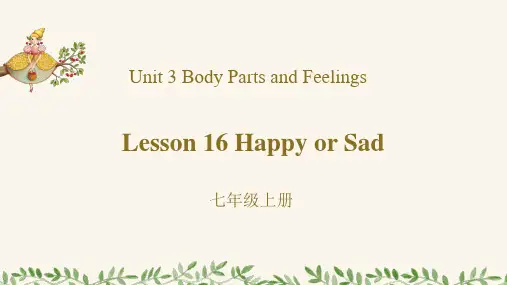 冀教版七年级英语上册《Unit 3 Lesson 16 Happy or Sad》课件