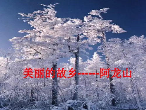 美丽的故乡------阿龙山