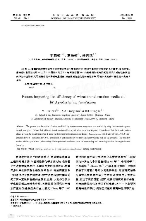 提高农杆菌介导小麦遗传转化效率的几个因素