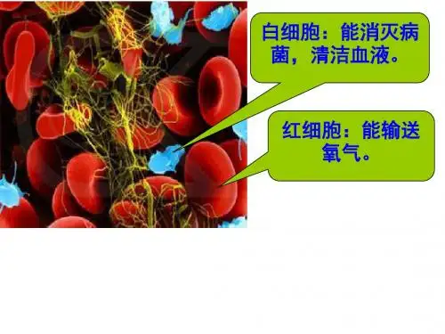 人教版四年级数学上册《整万数改写成以“万”为单位的