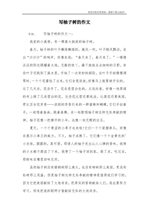 写柚子树的作文_1