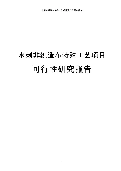 水刺非织造布特殊工艺项目可行性研究报告