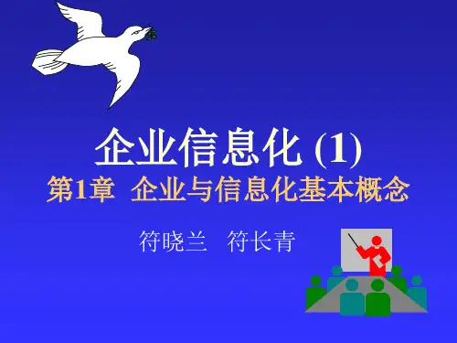 企业与信息化基本概念(ppt 36页)