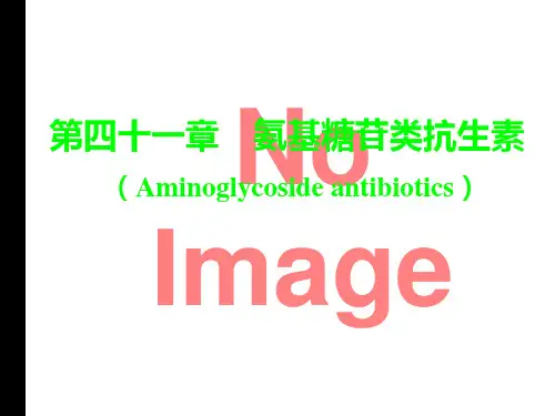 第四十一章 氨基糖苷类抗生素