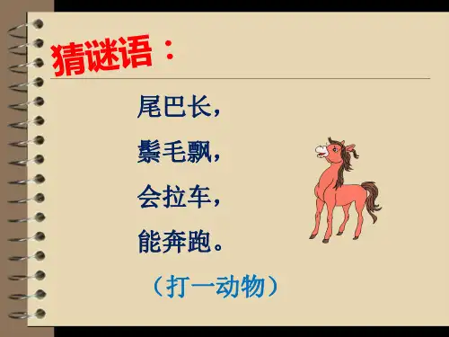 14小马过河