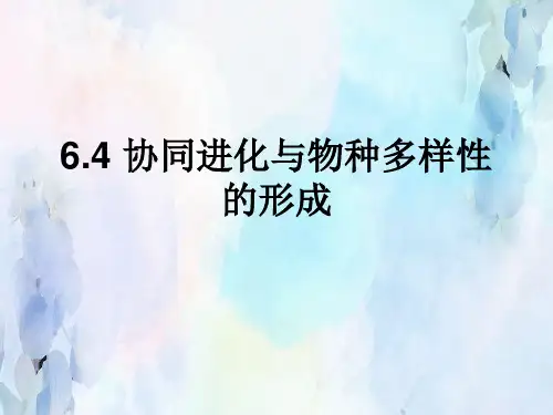 【人教版】协同进化与生物多样性的形成PPT教学课件1