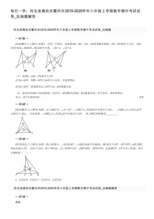 每日一学：河北省廊坊市霸州市2019-2020学年八年级上学期数学期中考试试卷_压轴题解答