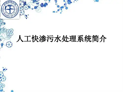 人工快渗污水处理系统简介