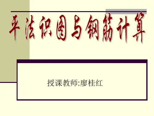 平法识图与钢筋计算基础知识.