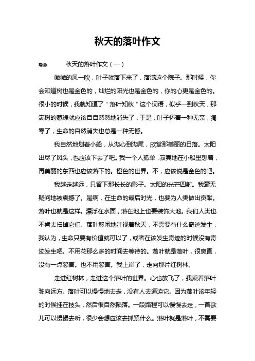 秋天的落叶作文 2
