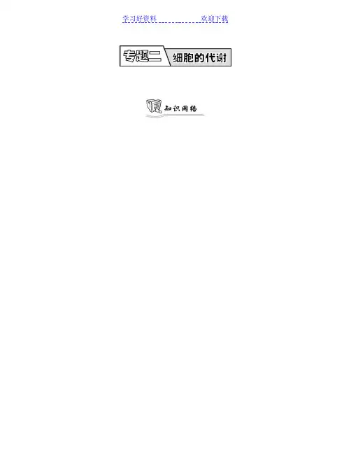 高考生物二轮复习知识网络专题二细胞的代谢