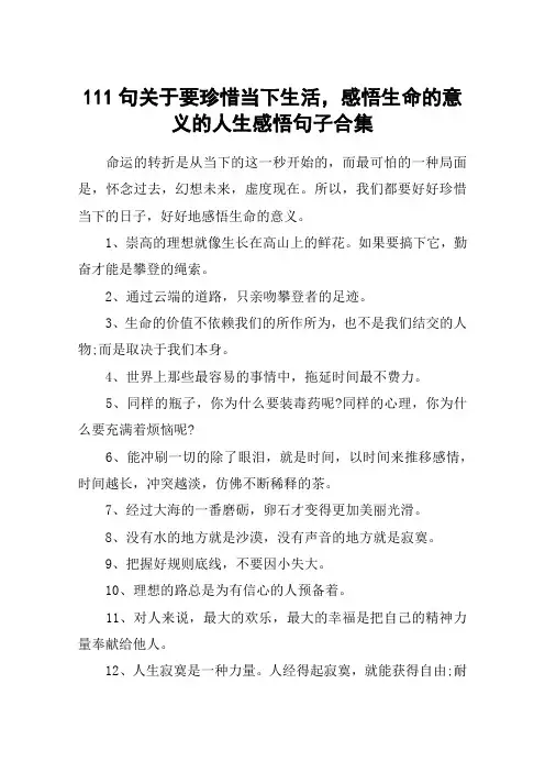 111句关于要珍惜当下生活,感悟生命的意义的人生感悟句子合集
