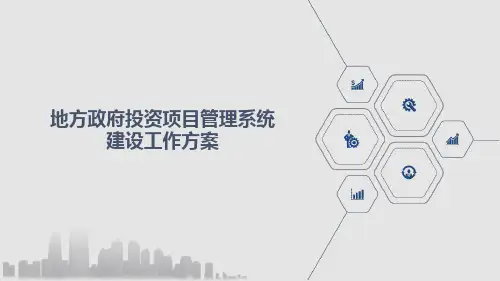 地方政府投资项目管理系统建设工作方案