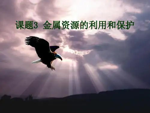 人教版九年级化学下册：第八单元课题3金属资源的利用和保护