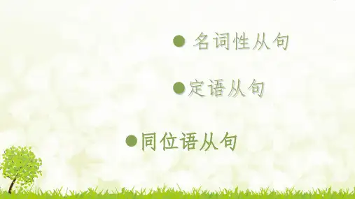 定语从句名词性从句同位语从句及其区别(课堂PPT)