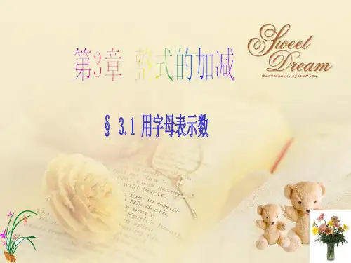初中数学课件：用字母表示数