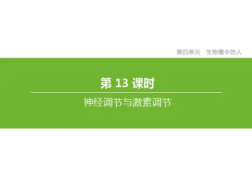 中考生物总复习第四单元生物圈中的人第13课时神经调节与激素调节课件