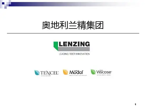 奥地利兰精集团(LenzingGroup)