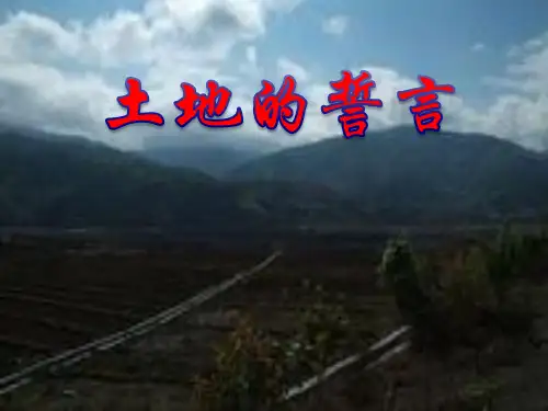《土地的誓言》优秀课件87668