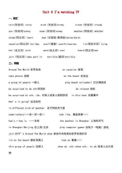 七年级英语下册Unit6I’mwatchingTV单元总结素材人教新目标版(new)