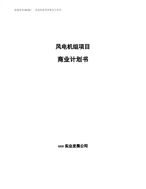 风电机组项目商业计划书