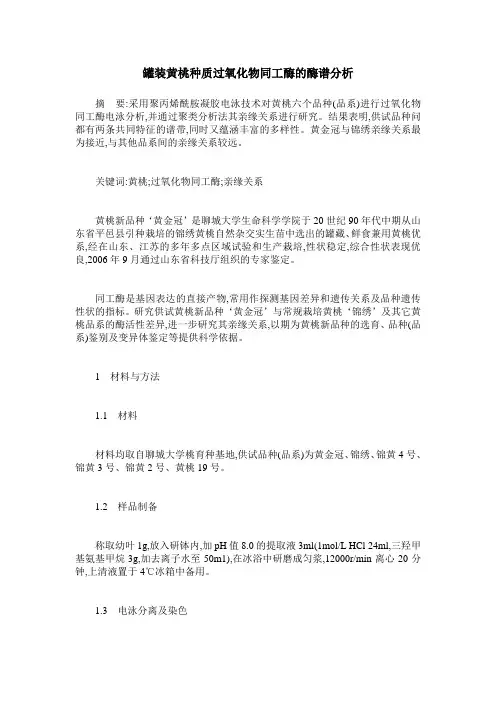 罐装黄桃种质过氧化物同工酶的酶谱分析