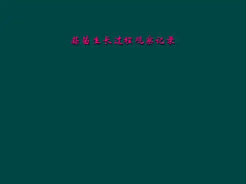 蒜苗生长过程观察记录