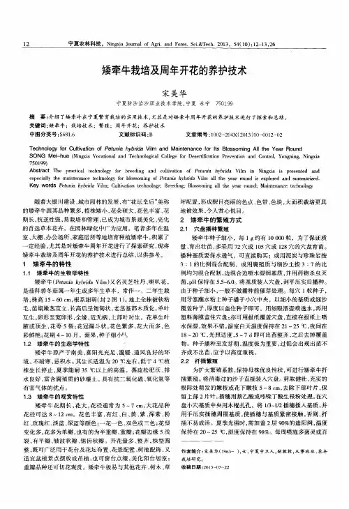 矮牵牛栽培及周年开花的养护技术