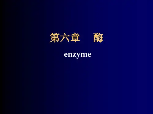 酶—生物化学