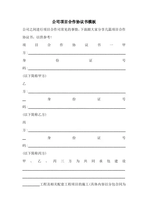 公司项目合作协议书模板