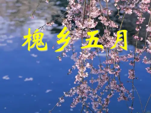 苏教版三年级下册语文《槐乡五月》课件PPT课件PPT