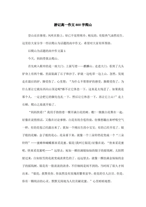 游记高一作文800字爬山