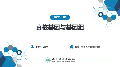 生物化学及分子生物学(人卫第九版)-11真核基因与基因组