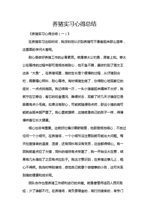 养猪实习心得总结