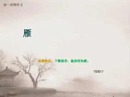 初一状物作文《雁》1500字