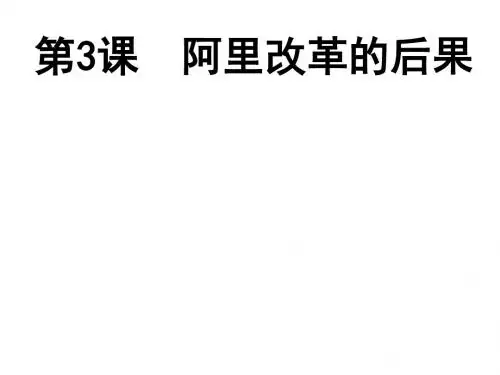 高二历史阿里改革的后果