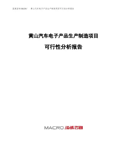 黄山汽车电子产品生产制造项目可行性分析报告